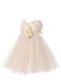 Lovely Champagne Rosebud Bodice Infant Flower Girl Dresses