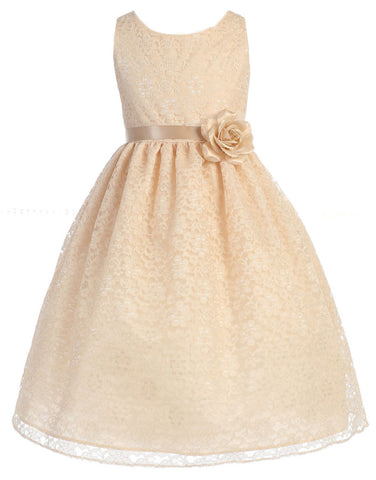 Victorian Floral Lace  Flower Girl Dresses Champagne